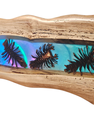 Wooden Epoxy Lighted Fixture Pinecone Wall Art
